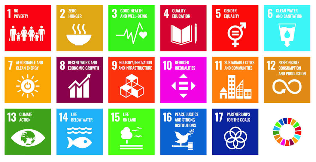 Remunero e i 17 obiettivi per lo sviluppo sostenibile dell’Agenda ONU 2030